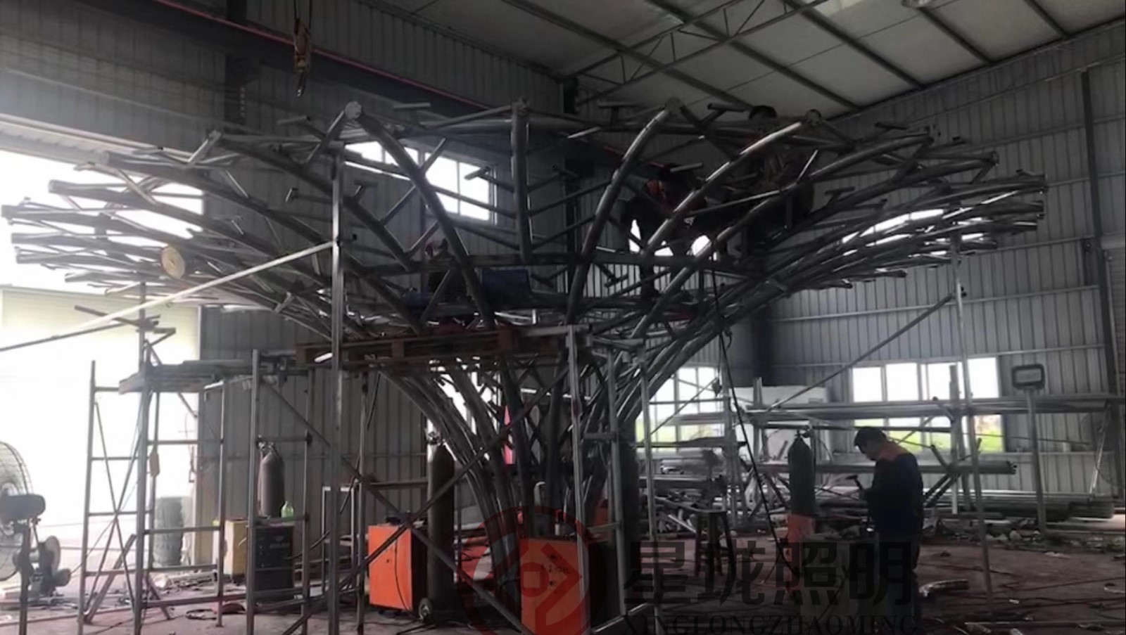 5ee8641fca19e.jpg 5ee8641fca19e.jpg